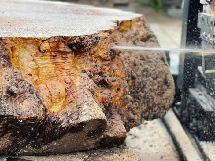 Live Edge Wood Burls Working with Live Edge Wood