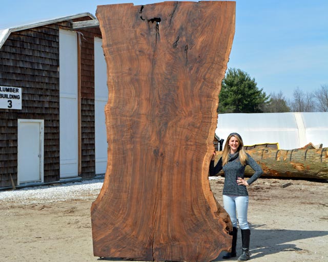 Woman standing next to very large Claro Walnut live edge wood slab   