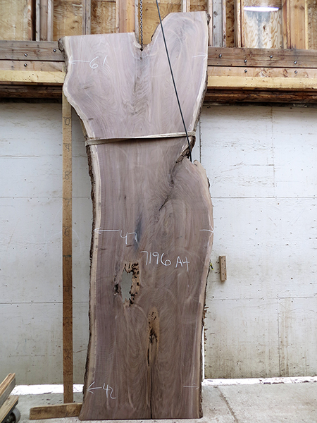 13feet Length 1-7/8 in. thick Black Walnut live edge slab #7196a4