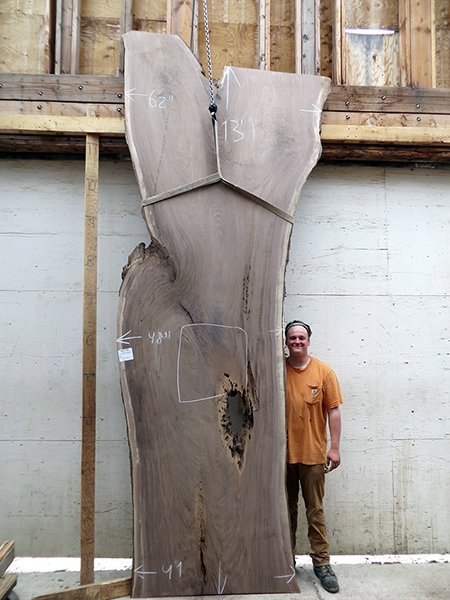 13feet Length 1-7/8 in. thick Black Walnut live edge slab #7196a4