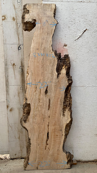 7feet 9in. Length 1-5/8 in. thick Big Leaf Maple live edge slab #8340x02