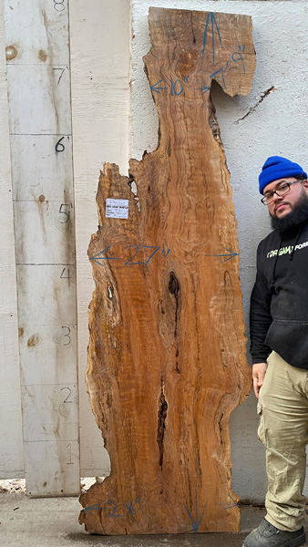 7feet 9in. Length 1-5/8 in. thick Big Leaf Maple live edge slab #8340x02