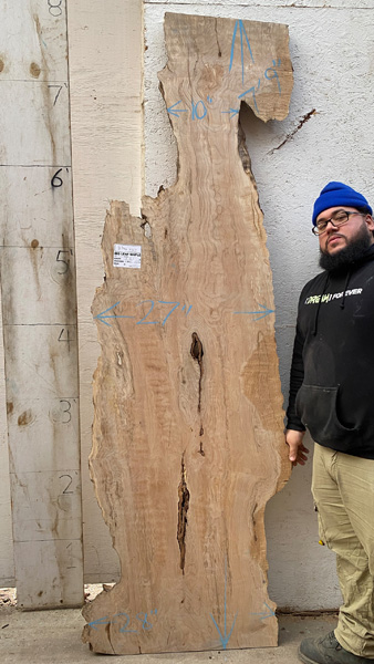 7feet 9in. Length 1-5/8 in. thick Big Leaf Maple live edge slab #8340x02