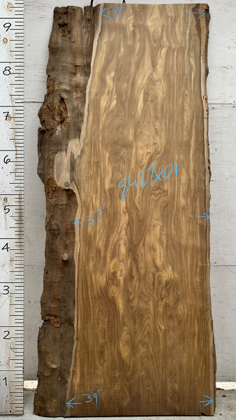 9feet 3in. Length 2-1/16 in. thick Afromosia live edge slab #8427x01