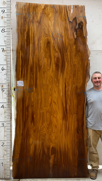 9feet 3in. Length 2-1/16 in. thick Afromosia live edge slab #8427x01