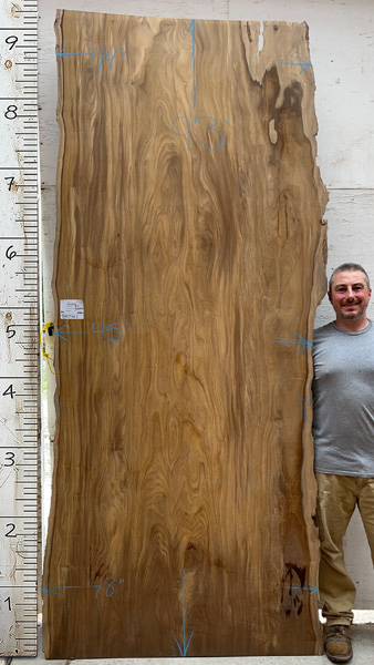 9feet 3in. Length 2-1/16 in. thick Afromosia live edge slab #8427x01