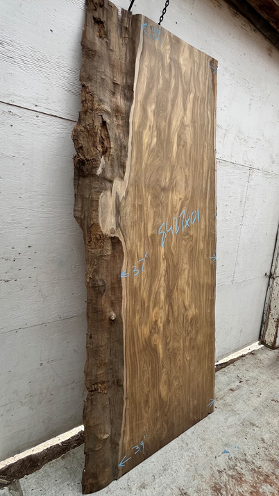 9feet 3in. Length 2-1/16 in. thick Afromosia live edge slab #8427x01