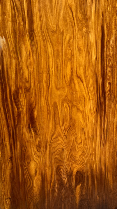 9feet 3in. Length 2-1/16 in. thick Afromosia live edge slab #8427x01